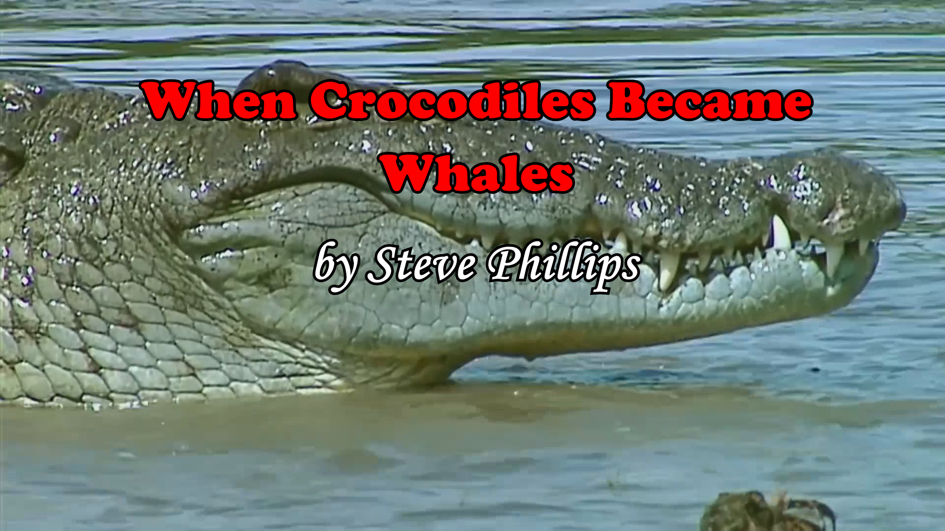 When Crocodiles Became Whales