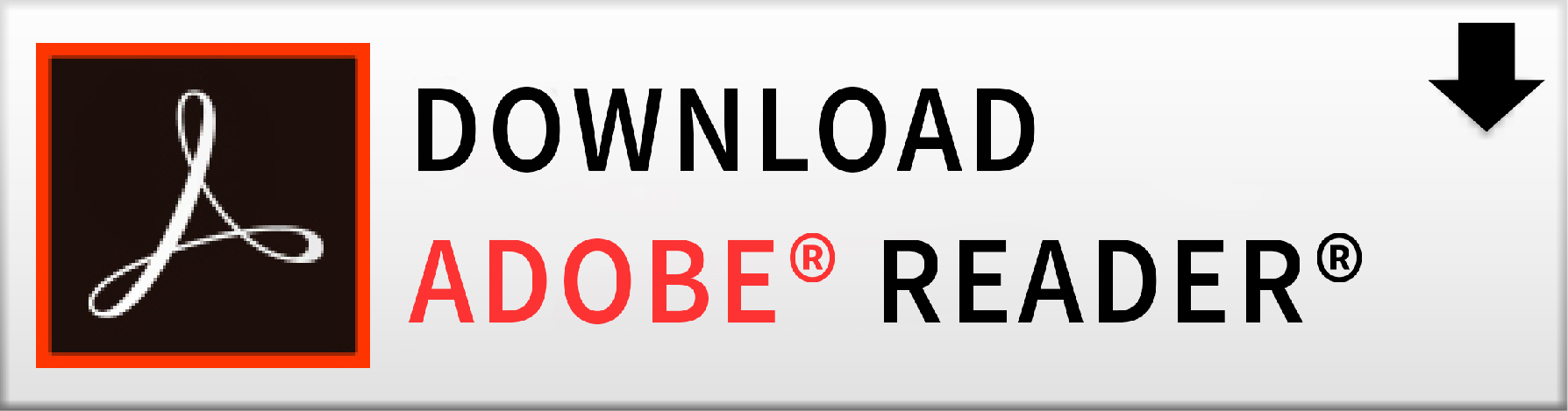 Adobe update page
