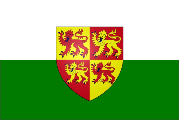 State Flag of Gwynedd
